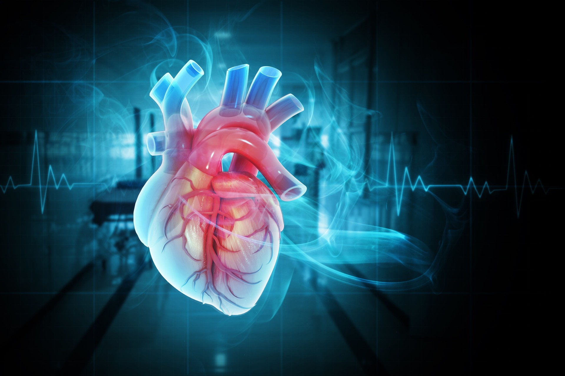 Anatomical heart visualisation with background ECG for scientific medical communications